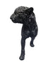 Big Black Panther statue, stands 16" tall and 30" long (76327)