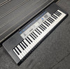 Casio CTK-1550 Keyboard **Collection Only**
