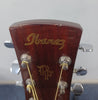 IBANEZ PF60S ACOUSTIC
