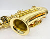 Sonata Alto Saxophone with Hard case