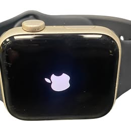 Apple Watch SE 1st Gen