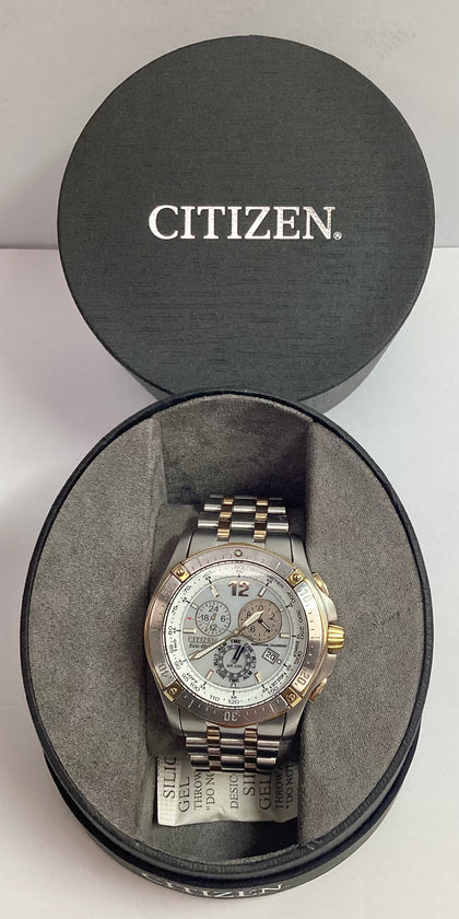 Citizen Eco-Drive Perpetual Calendar Watch