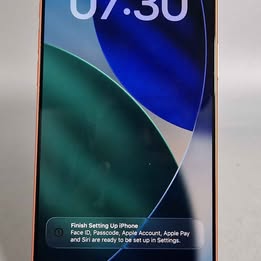 Apple iPhone 17 pro max (256GB UNLOCKED/OPEN ORANGE)