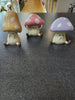 Three Wise Toadstools