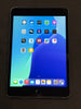 iPad mini 5th generation 64gb wifi
