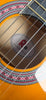 Rio 6 String Acoustic Guitar