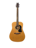 Washburn Apprentice D5 Natural
