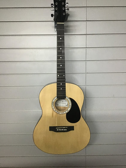 Martin Smith Guitar