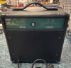 Stagg amp