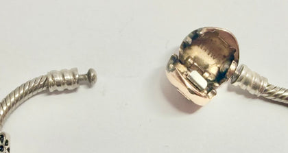 Pandora Charm Bracelet