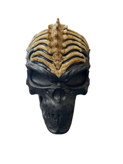 Spine Head Skull (JR) 18.5cm