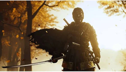 Ghost of Tsushima - PS4 - Collection Only
