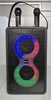 PF305 - Panther Force Portable Karaoke Speaker with Wireless 2 Mic **Collection Only**