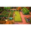 FAE Farm (Nintendo Switch)