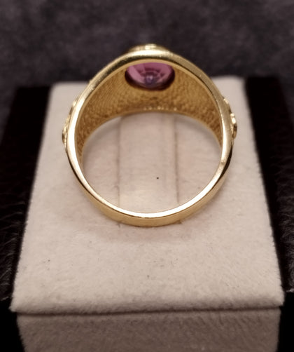9ct Yellow Gold College Style Ring Bezel set with Purple Stone Size U
