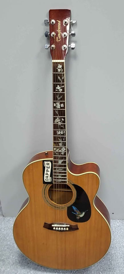 Tanglewood Semi-Acoustic Guitar  - Tan- (Customised)