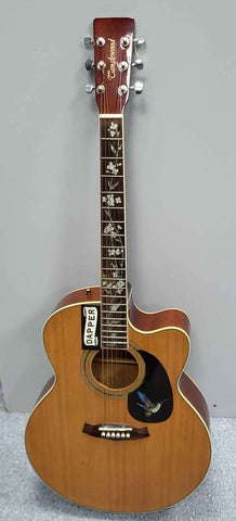 Tanglewood Semi-Acoustic Guitar  - Tan- (Customised)