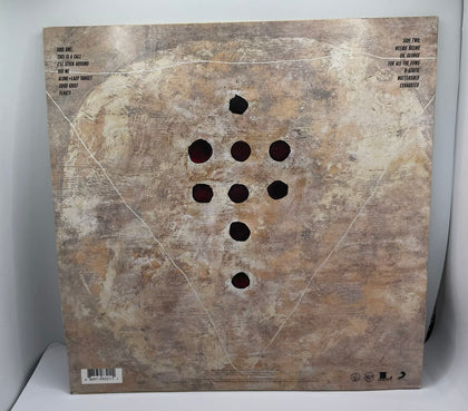1995 Foo Fighters Vinyl Record