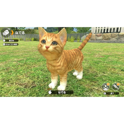 Little Friends Dogs and Cats Switch.