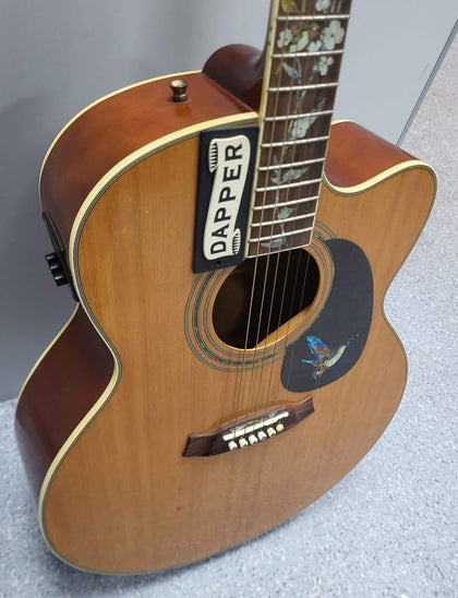 Tanglewood Semi-Acoustic Guitar  - Tan- (Customised)