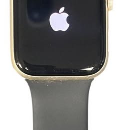 Apple Watch SE 1st Gen