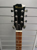 wesley arcylic-o-paul guitar electric