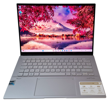 ASUS Zenbook 14 OLED (UX3402) TouchScreen