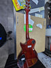 Pre se electric guitar