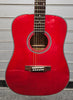 Ashland AF10-TRD dreadnought acoustic guitar