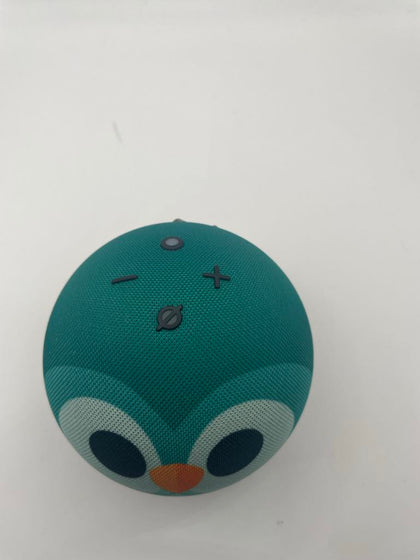 Echo dot kids