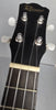 Remo redwood banjolele 4 String