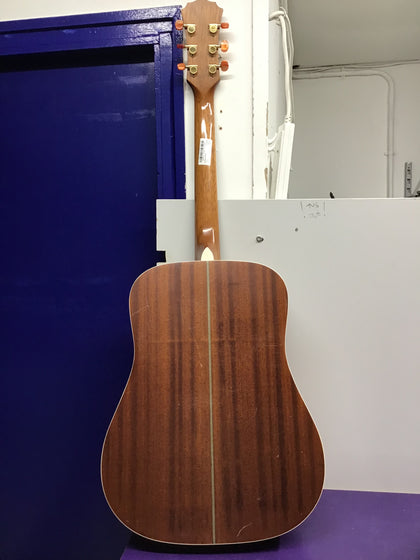 Freshman FA250D Acoustic Guitar
