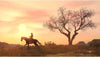 Rockstar Games RED DEAD REDEMPTION