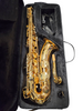 Artemis Pro Alto Saxophone - with Case