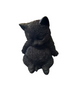 Nemesis Now - Daydream 13cm Figurine - Black