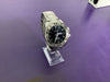 Festina Professional Diver Watch