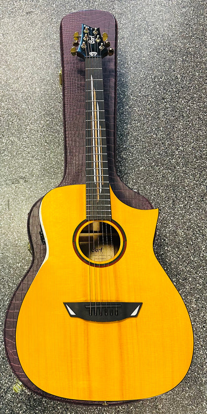 Cort Frank Gamble Luxe II Guitar & Case