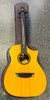 Cort Frank Gamble Luxe II Guitar & Case