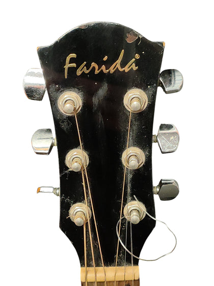Farida D-12CEBK Acoustic Guitar w/ Hard Case