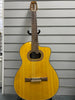 Takamine T30 Guitar