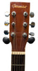 Burswood JW-41F Acoustic Guitar "Collection Only"