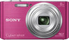 Sony Cyber Shot DSC-W730 16.1MP Digital Camera