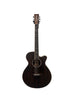 TR PRO SFCE AEB Reunion Pro Series TangleWood