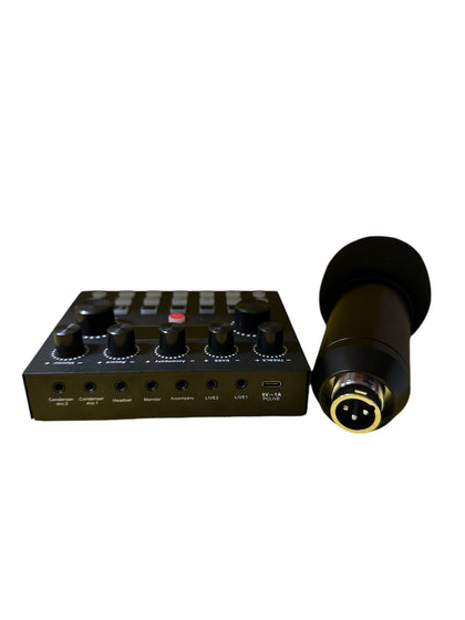 **BOXING DAY SALE** Broadcasting and Recording Microphone