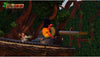 Nintendo Donkey Kong Country