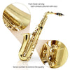 Eastar AS-II Student Alto Saxophone E Flat Gold Lacquer Alto Beginner Sax Full Kit with Carrying Sax Case Mouthpiece Straps Reeds Stand