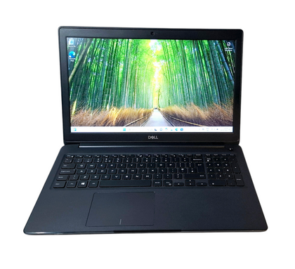 Dell Latitude 3500 15.6