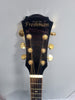 Freshman Apollo 2 - Semi Acoustic Guitar