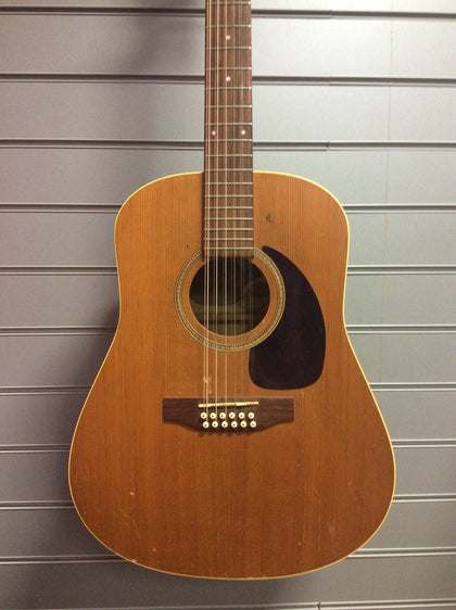 Seagull 22-String Acoustic