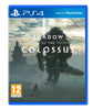 Shadow of the Colossus - PS4 - Great Yarmouth